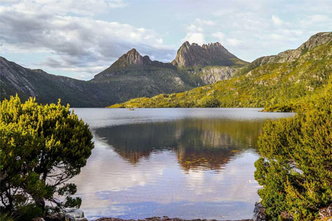 TAS